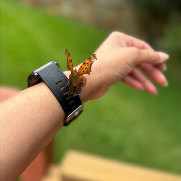 Meet your Posher, Vanessa - Picture 12 of 17